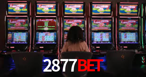 2877bet