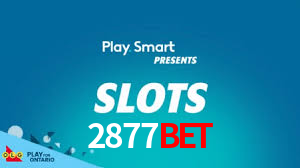 2877bet